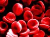 blood_cells.jpg