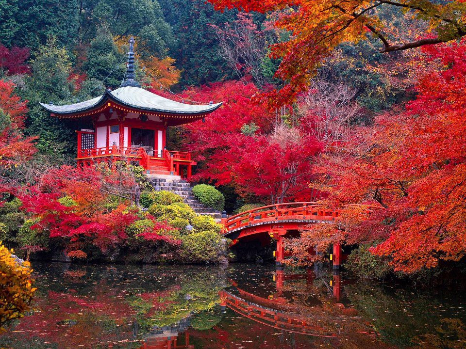 Daigo-ji+Temple+in+Autumn+-+Kyoto,+Japan.jpg
