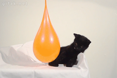 balloon-kitten-animalbtuki.gif