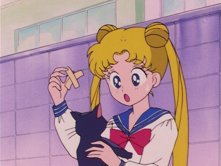 Sailor_Moon_001v2_576p_Hi10_P_DVD_FLAC_Hark0n_A41951_B8_mkv_bc_snapshot_03_01.jpg